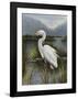 Morning Egret-Kilian-Framed Art Print