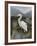 Morning Egret-Kilian-Framed Art Print