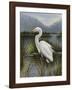 Morning Egret-Kilian-Framed Art Print