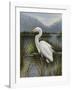 Morning Egret-Kilian-Framed Art Print