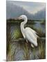 Morning Egret-Kilian-Mounted Art Print