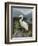 Morning Egret-Kilian-Framed Art Print