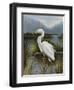 Morning Egret-Kilian-Framed Art Print