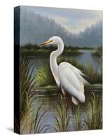 Morning Egret-Kilian-Stretched Canvas