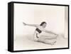 Morning Exercise-null-Framed Stretched Canvas