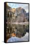 Morning Falls Reflection, Yosemite-Vincent James-Framed Stretched Canvas