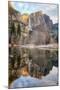 Morning Falls Reflection, Yosemite-Vincent James-Mounted Photographic Print