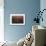 Morning Fescue-Simon Winegar-Giclee Print displayed on a wall