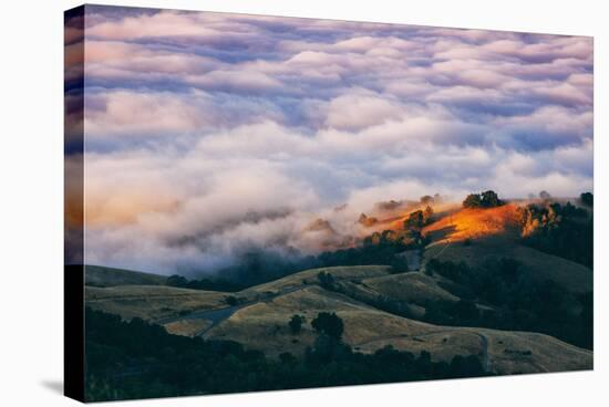 Morning Fog at Mount Diablo, California-Vincent James-Stretched Canvas