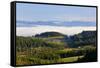 Morning Fog Covers Hood River Valley, Oregon, USA-Craig Tuttle-Framed Stretched Canvas