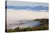 Morning Fog Covers Hood River Valley, Oregon, USA-Craig Tuttle-Stretched Canvas