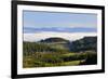 Morning Fog Covers Hood River Valley, Oregon, USA-Craig Tuttle-Framed Photographic Print