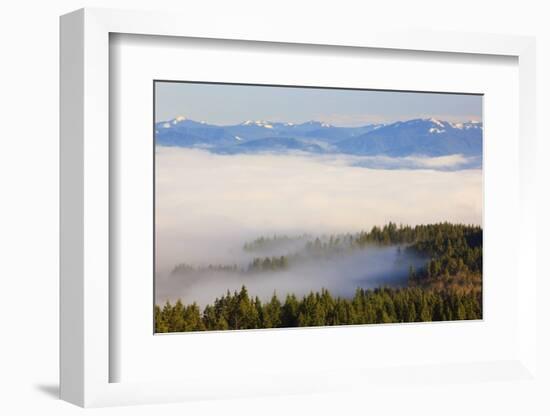 Morning Fog Covers Hood River Valley, Oregon, USA-Craig Tuttle-Framed Photographic Print