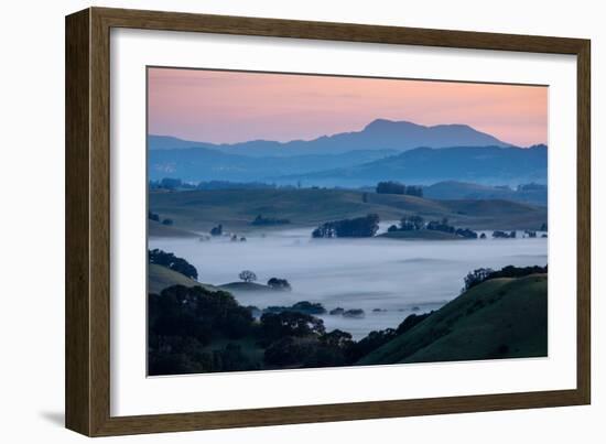 Morning Fog in the Hills of Sonoma County, California-Vincent James-Framed Photographic Print