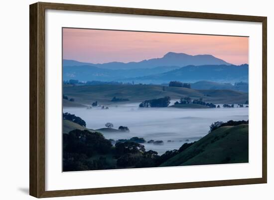 Morning Fog in the Hills of Sonoma County, California-Vincent James-Framed Photographic Print