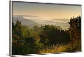 Morning Fog in the Saale Valley, Near Naumburg, Burgenlandkreis, Saxony-Anhalt, Germany-Andreas Vitting-Framed Photographic Print