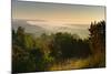 Morning Fog in the Saale Valley, Near Naumburg, Burgenlandkreis, Saxony-Anhalt, Germany-Andreas Vitting-Mounted Photographic Print