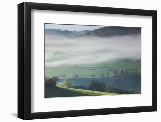 Morning fog in valley during autumn, Horben, Black Forest, Baden-Wurttemberg, Germany-null-Framed Photographic Print