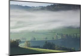 Morning fog in valley during autumn, Horben, Black Forest, Baden-Wurttemberg, Germany-null-Mounted Photographic Print