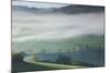 Morning fog in valley during autumn, Horben, Black Forest, Baden-Wurttemberg, Germany-null-Mounted Photographic Print