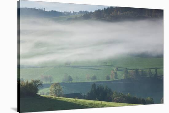 Morning fog in valley during autumn, Horben, Black Forest, Baden-Wurttemberg, Germany-null-Stretched Canvas