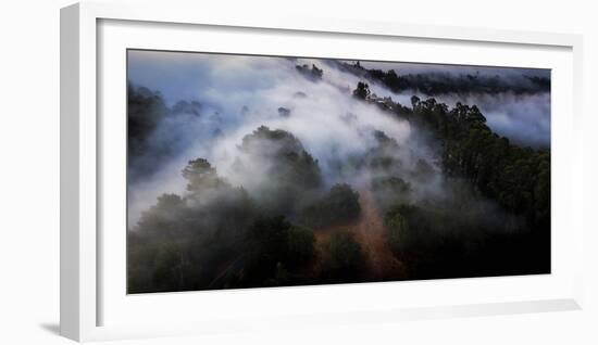 Morning Fog Magic in Flight From The Sky Over Oakland Hills-Vincent James-Framed Photographic Print