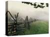 Morning Fog on a Mountain Farm-Gary W. Carter-Stretched Canvas