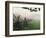 Morning Fog on a Mountain Farm-Gary W. Carter-Framed Photographic Print