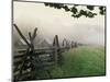 Morning Fog on a Mountain Farm-Gary W. Carter-Mounted Photographic Print