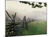 Morning Fog on a Mountain Farm-Gary W. Carter-Mounted Photographic Print