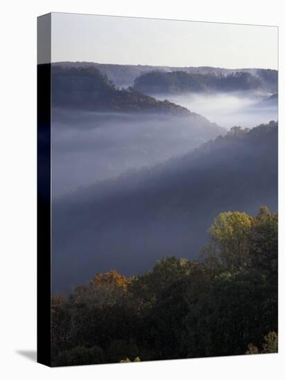 Morning Fog on Ridges of Red River Gorge Geological Area, Great Smokey Mountains National Park, TN-Adam Jones-Stretched Canvas