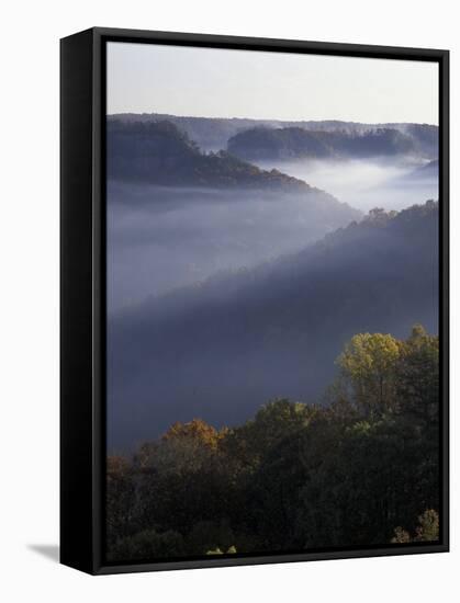 Morning Fog on Ridges of Red River Gorge Geological Area, Great Smokey Mountains National Park, TN-Adam Jones-Framed Stretched Canvas