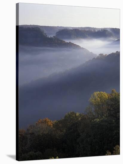 Morning Fog on Ridges of Red River Gorge Geological Area, Great Smokey Mountains National Park, TN-Adam Jones-Stretched Canvas