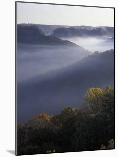 Morning Fog on Ridges of Red River Gorge Geological Area, Great Smokey Mountains National Park, TN-Adam Jones-Mounted Photographic Print