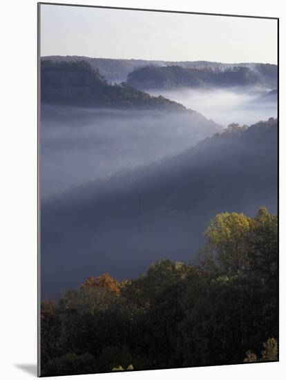 Morning Fog on Ridges of Red River Gorge Geological Area, Great Smokey Mountains National Park, TN-Adam Jones-Mounted Photographic Print