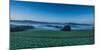 Morning Fog over a Field-Jorg Simanowski-Mounted Photographic Print