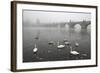 Morning Fog over Swimming Swans and the Charles Bridge in Prague, Czech Republic.-wrangel-Framed Photographic Print