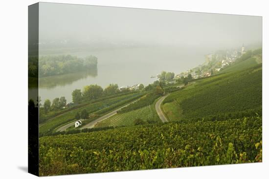 Morning Fog over the River Rhine, Near Lorch, Hesse, Germany, Europe-Jochen Schlenker-Stretched Canvas