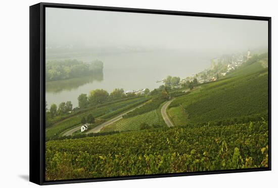Morning Fog over the River Rhine, Near Lorch, Hesse, Germany, Europe-Jochen Schlenker-Framed Stretched Canvas