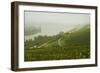 Morning Fog over the River Rhine, Near Lorch, Hesse, Germany, Europe-Jochen Schlenker-Framed Photographic Print