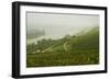 Morning Fog over the River Rhine, Near Lorch, Hesse, Germany, Europe-Jochen Schlenker-Framed Photographic Print