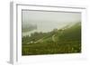 Morning Fog over the River Rhine, Near Lorch, Hesse, Germany, Europe-Jochen Schlenker-Framed Photographic Print