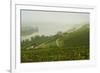 Morning Fog over the River Rhine, Near Lorch, Hesse, Germany, Europe-Jochen Schlenker-Framed Photographic Print