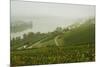 Morning Fog over the River Rhine, Near Lorch, Hesse, Germany, Europe-Jochen Schlenker-Mounted Photographic Print