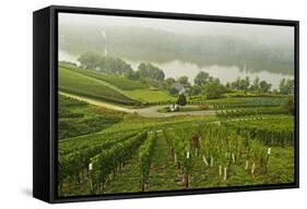 Morning Fog over the River Rhine, Near Lorch, Hesse, Germany, Europe-Jochen Schlenker-Framed Stretched Canvas