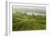 Morning Fog over the River Rhine, Near Lorch, Hesse, Germany, Europe-Jochen Schlenker-Framed Photographic Print