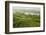 Morning Fog over the River Rhine, Near Lorch, Hesse, Germany, Europe-Jochen Schlenker-Framed Photographic Print