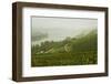 Morning Fog over the River Rhine, Near Lorch, Hesse, Germany, Europe-Jochen Schlenker-Framed Photographic Print