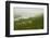 Morning Fog over the River Rhine, Near Lorch, Hesse, Germany, Europe-Jochen Schlenker-Framed Photographic Print