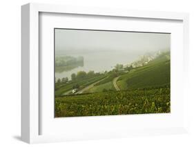 Morning Fog over the River Rhine, Near Lorch, Hesse, Germany, Europe-Jochen Schlenker-Framed Photographic Print